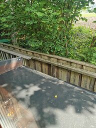 IMG_20240601_105758.jpg