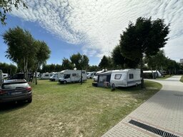 IMG_8765.jpeg