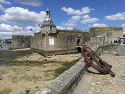 IMG_20240611_161133.jpg