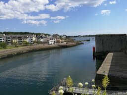 IMG_20240611_170619.jpg