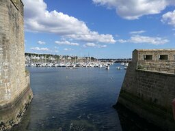 IMG_20240611_175245.jpg