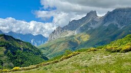 IMG_4016.jpeg