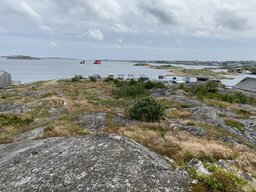IMG_1704.jpeg