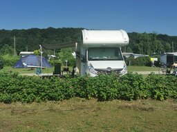 IMG_20240625_174517.jpg