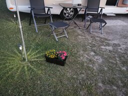 IMG_20240625_224350.jpg