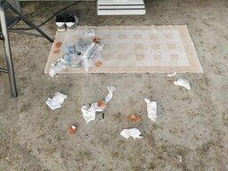IMG_20240626_051735.jpg