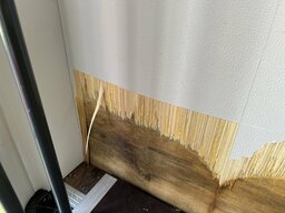 IMG_0986.jpeg