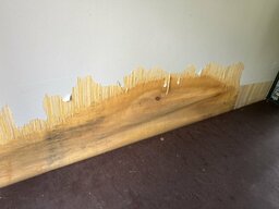 IMG_0985.jpeg