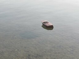 IMG_20240626_195329.jpg
