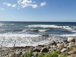 IMG_20240628_155648.jpg