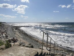 IMG_20240628_155654.jpg