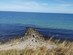 IMG_20240629_085104.jpg