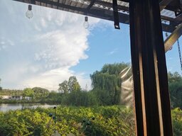 IMG_20240712_202321.jpg