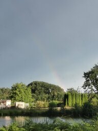IMG_20240712_201029.jpg