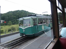 003.JPG