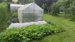 Die Buschbohnen im Freien, Lauch oder Porree unter Fließ