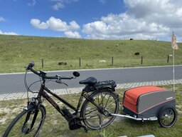 IMG_2008.jpeg