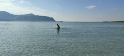 IMG_4751~photo.jpg