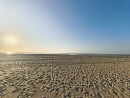 IMG_20240805_201709405.jpg