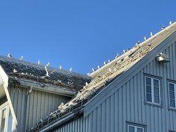 IMG_4826~photo.JPG