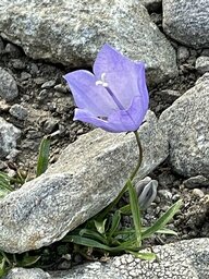 IMG_4869~photo.JPG
