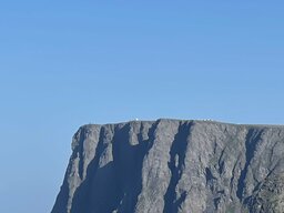 IMG_4883~photo.JPG