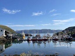 IMG_4904~photo.JPG