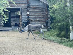 IMG_4930~photo.JPG