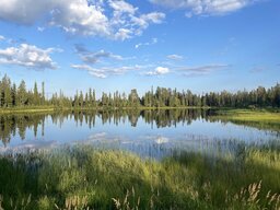 IMG_4928~photo.JPG