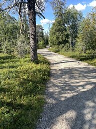 IMG_4949~photo.JPG