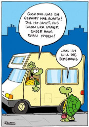 Schildkröte.jpg