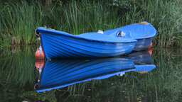 IMG_0860.jpg