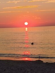 IMG_20240827_203455786.jpg
