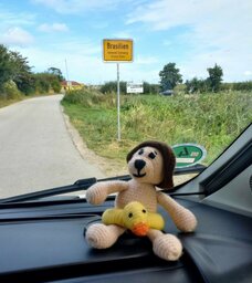 IMG-20240830-WA0000 (1).jpg