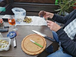 IMG_20221008_161826.jpg