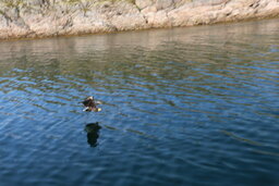 1E94CADA-3D70-4A0A-A667-2F8F7B568575.jpeg