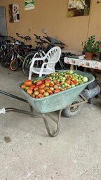 Gestern in einem kleinen rumänischen Dorf
