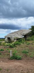 20240912_135201.jpg