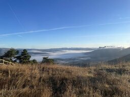 IMG_5188.jpeg