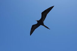 DSC05132.JPG