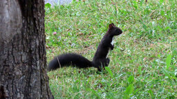IMG_1797.jpg