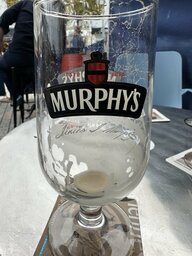 IMG_8923.jpeg