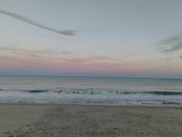 IMG_20241004_193401373.jpg
