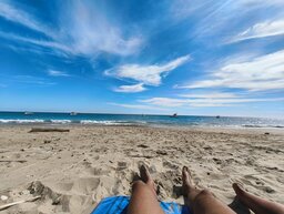 IMG_20241005_132904773.jpg