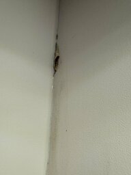 IMG_8364.jpeg