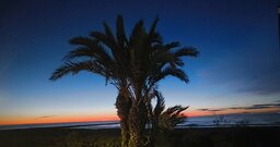 IMG_20241010_072502273.jpg