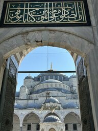 IMG_7331.JPG