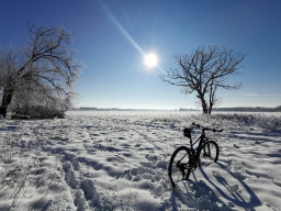 Winter.jpg