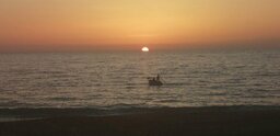 IMG_20241016_210629_939.jpg