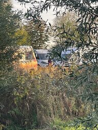 IMG_1615.jpeg